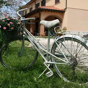 Diciocco Venturina Terme