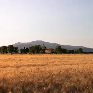 Il Pescinone Venturina Terme